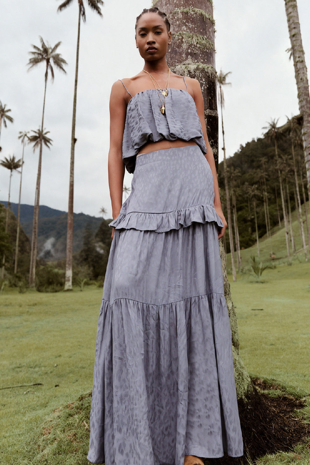 Falda palma de cera zen blue