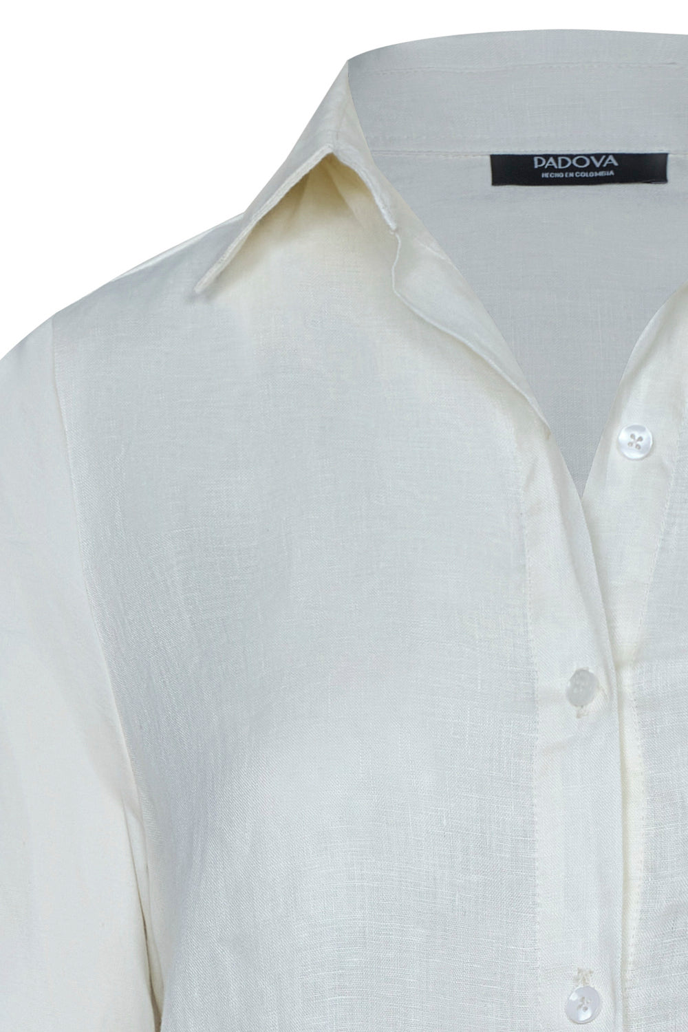 Camisa bianca vainilla