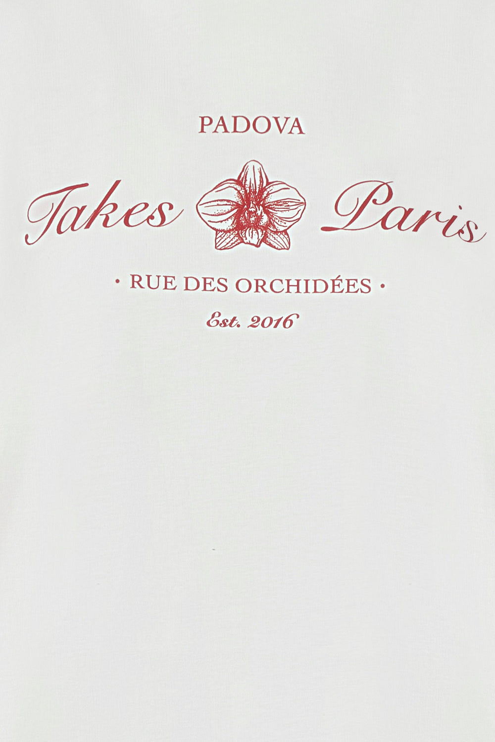 Camiseta new lourdes natural