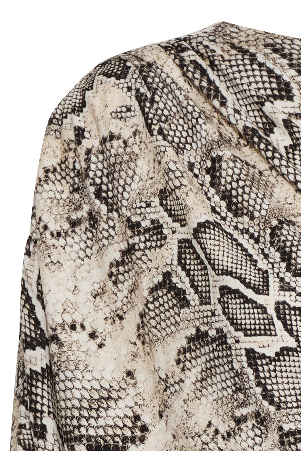 Blusa santa cruz animal print