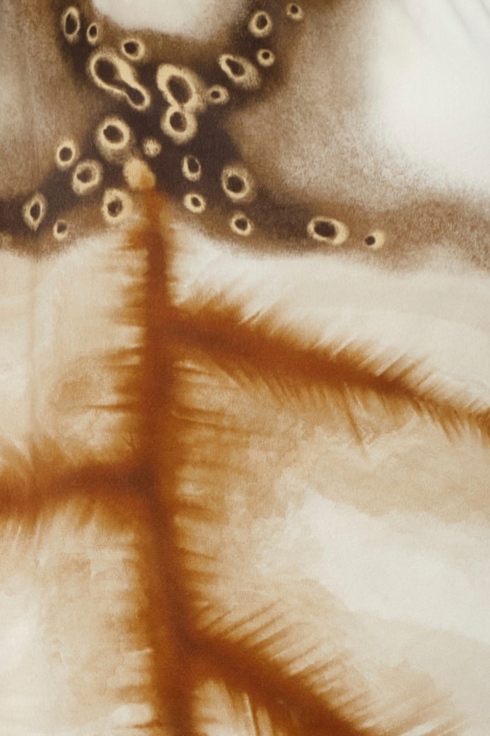 Vestido New Selma ivory moca